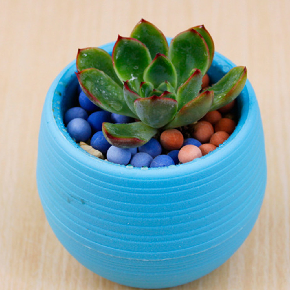 Plant Desk Mini - Mini doniczki z żywicy na sukulenty,