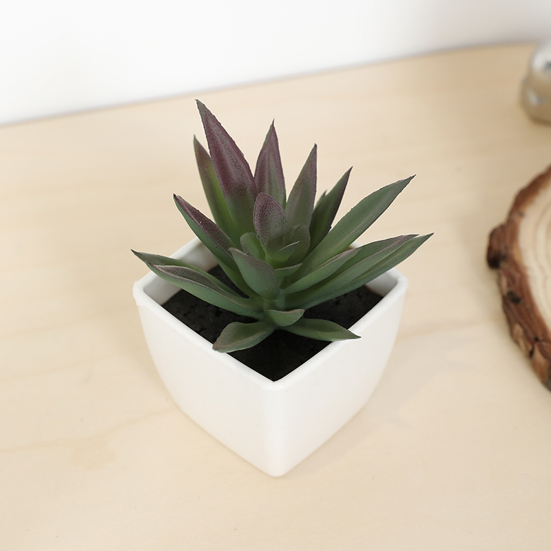 Plant Desk Mini - Mini sztuczny soczysty kubek wróżki mała