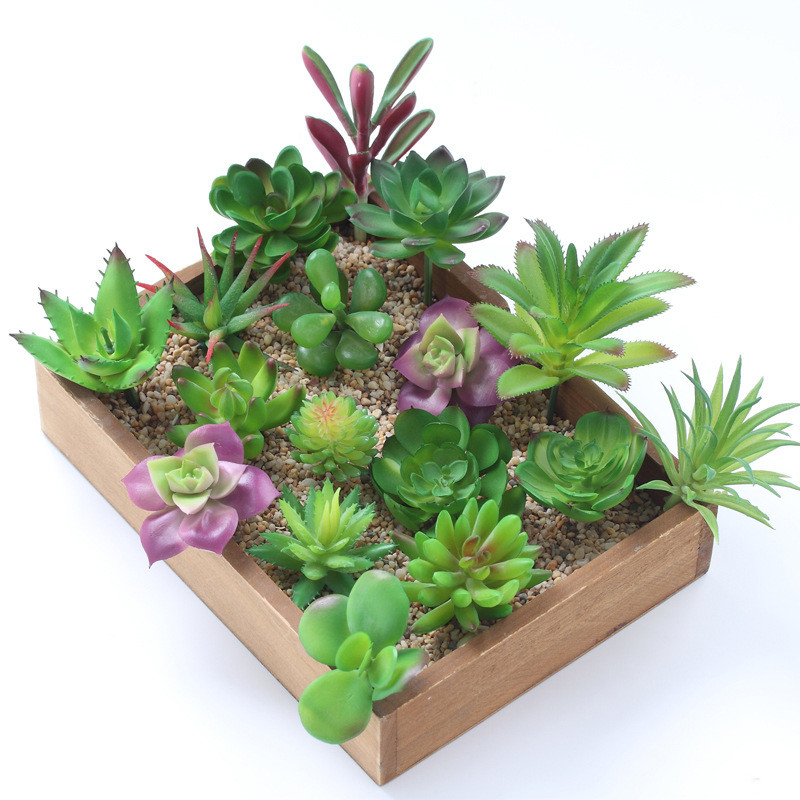 2021 sztuczne sukulenty roślin – Plant Desk Mini recenzja i cena