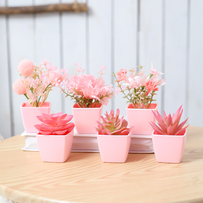 6 szt. Mini syntetycznych rośl – Plant Desk Mini recenzja i cena