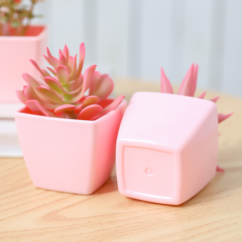 6 szt. Mini syntetycznych rośl – Plant Desk Mini recenzja i cena