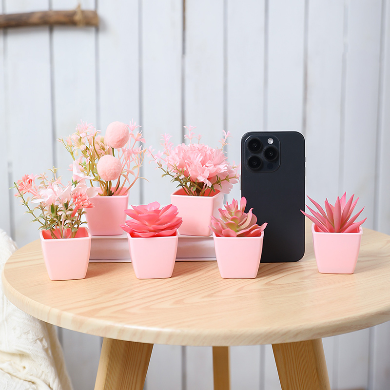 6 szt. Mini syntetycznych rośl – Plant Desk Mini recenzja i cena