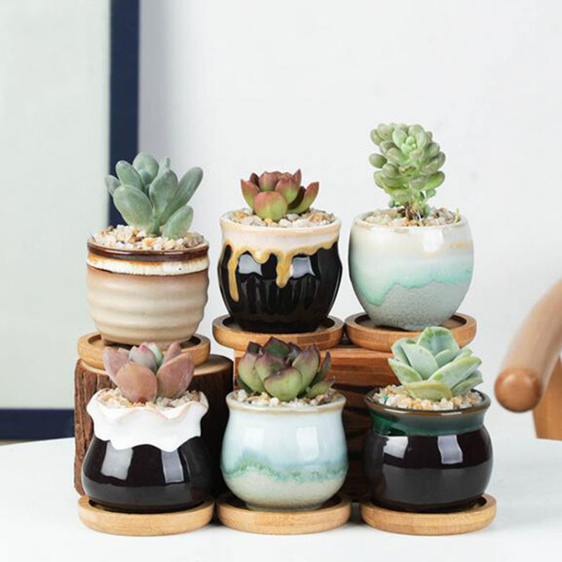 6 sztuk/zestaw ceramiczny zest – Plant Desk Mini recenzja i cena