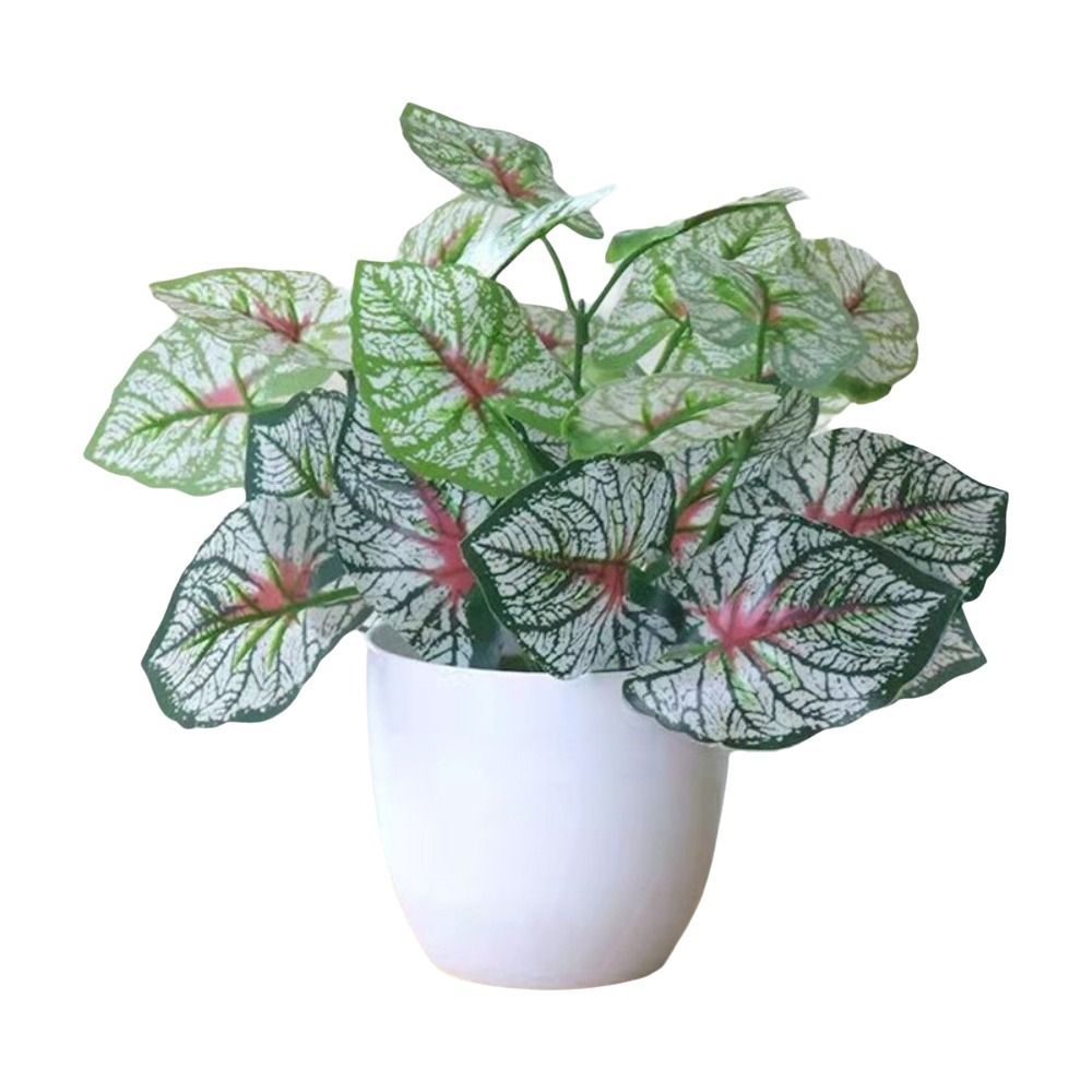 Miniaturowe sztuczne kwiaty w  – Plant Desk Mini recenzja i cena