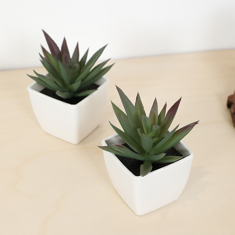 Mini sztuczny soczysty kubek w – Plant Desk Mini recenzja i cena