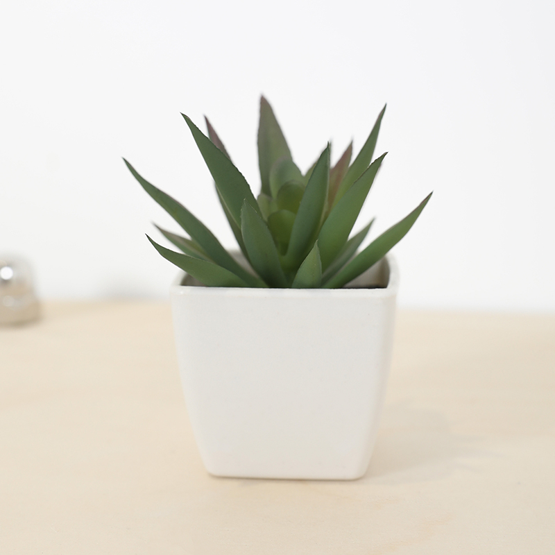 Mini sztuczny soczysty kubek w – Plant Desk Mini recenzja i cena