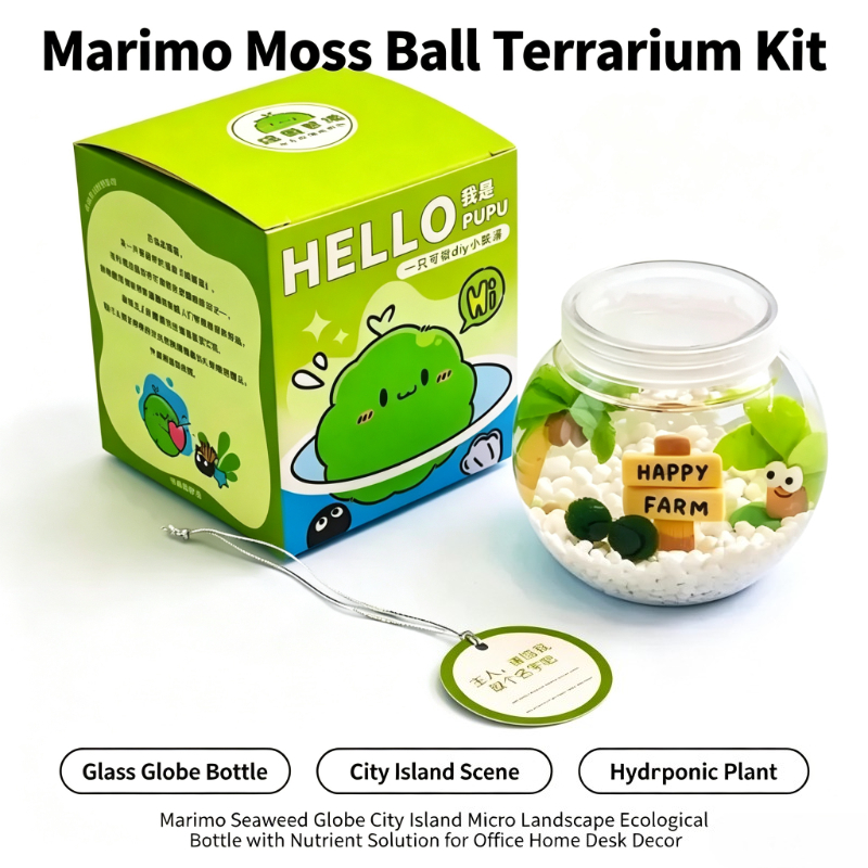 Terrarium z kulą mchu Marimo,  – Plant Desk Mini recenzja i cena