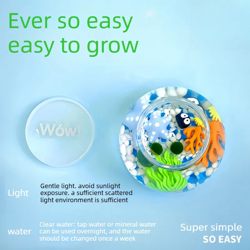 Terrarium z kulą mchu Marimo,  – Plant Desk Mini recenzja i cena