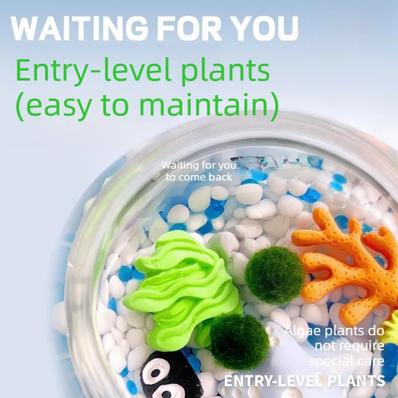 Terrarium z kulą mchu Marimo,  – Plant Desk Mini recenzja i cena