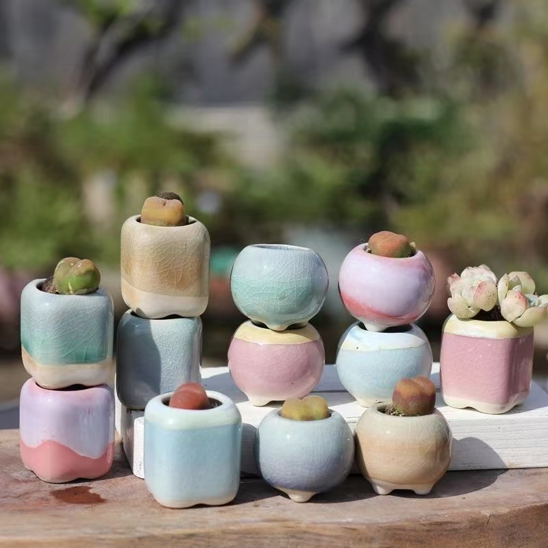 6 szt. Mini Doniczek Sukulenty – Plant Desk Mini recenzja i cena