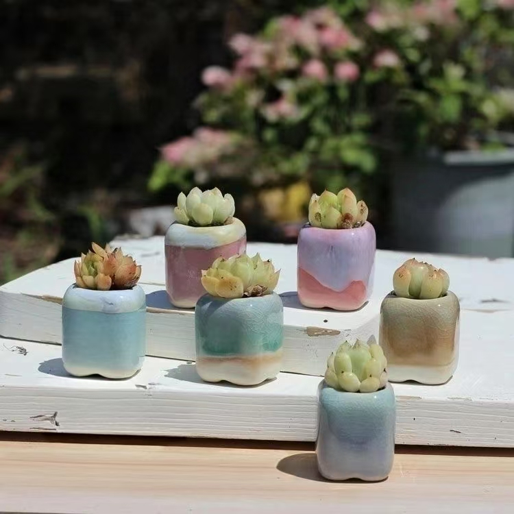 6 szt. Mini Doniczek Sukulenty – Plant Desk Mini recenzja i cena